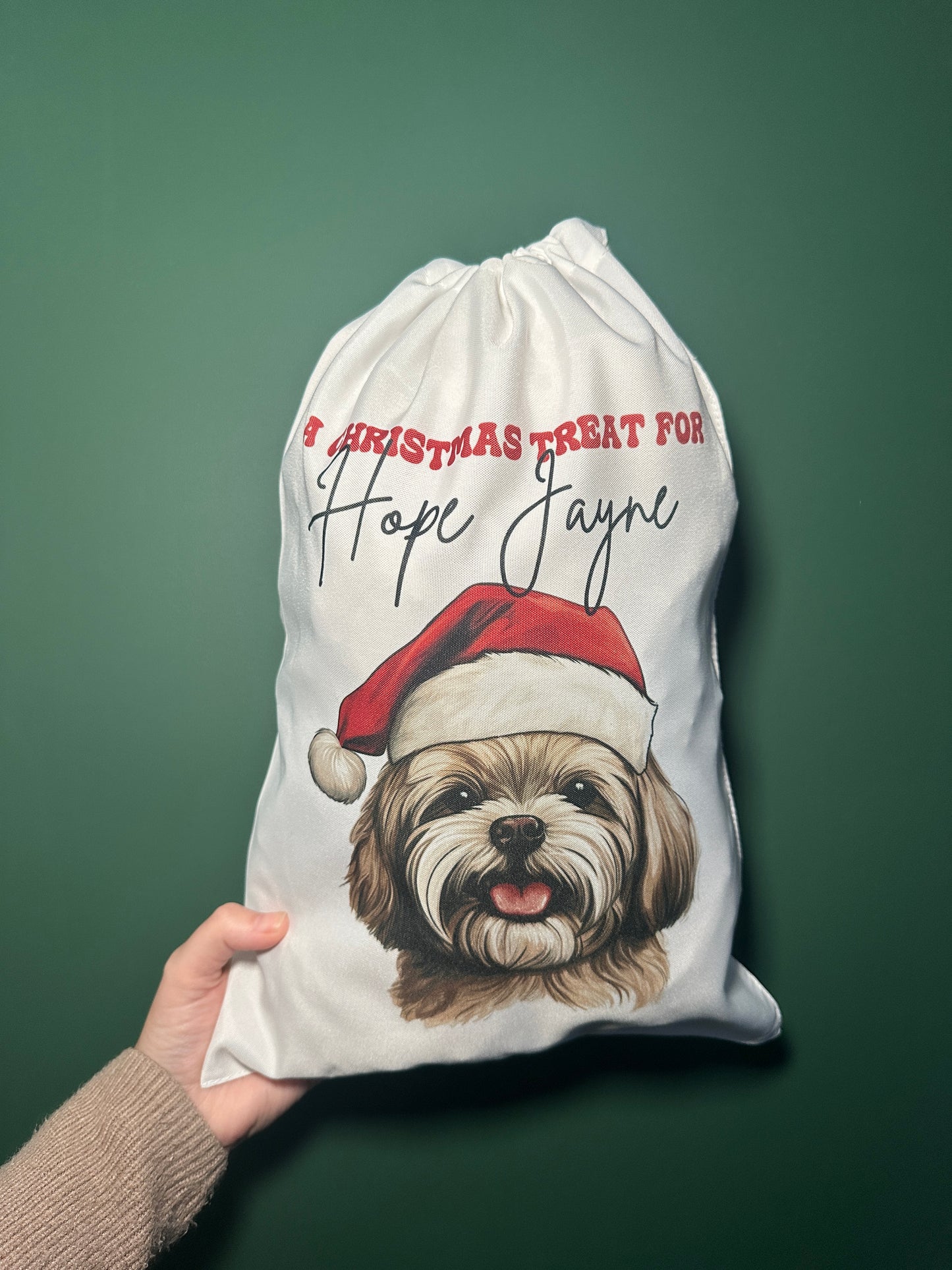 Christmas Santa Hat Dog Sacks/Stocking