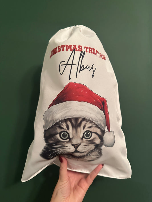 Christmas Santa Hat Cat Sacks/Stocking