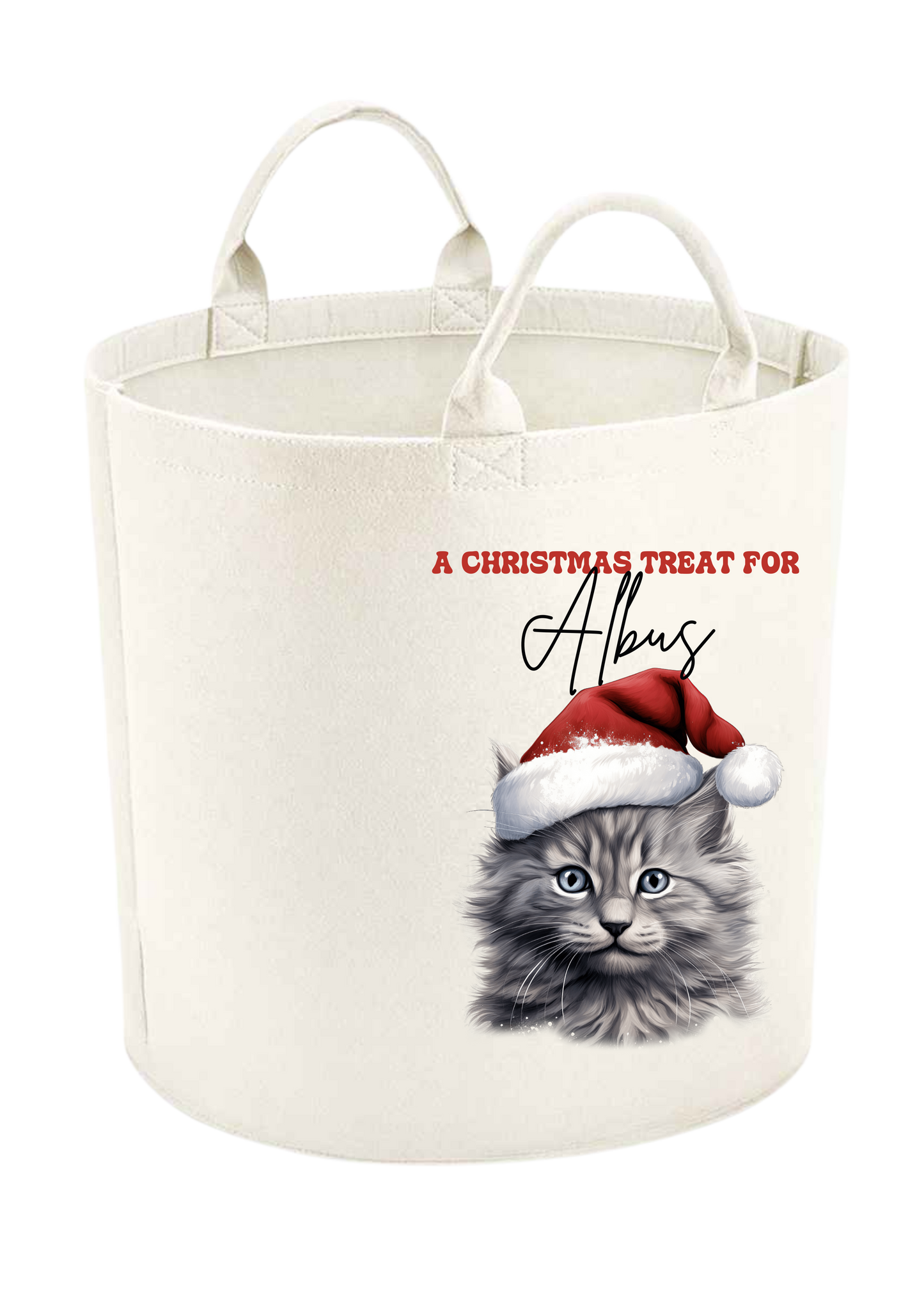 Christmas Santa Hat Cat Felt Trug